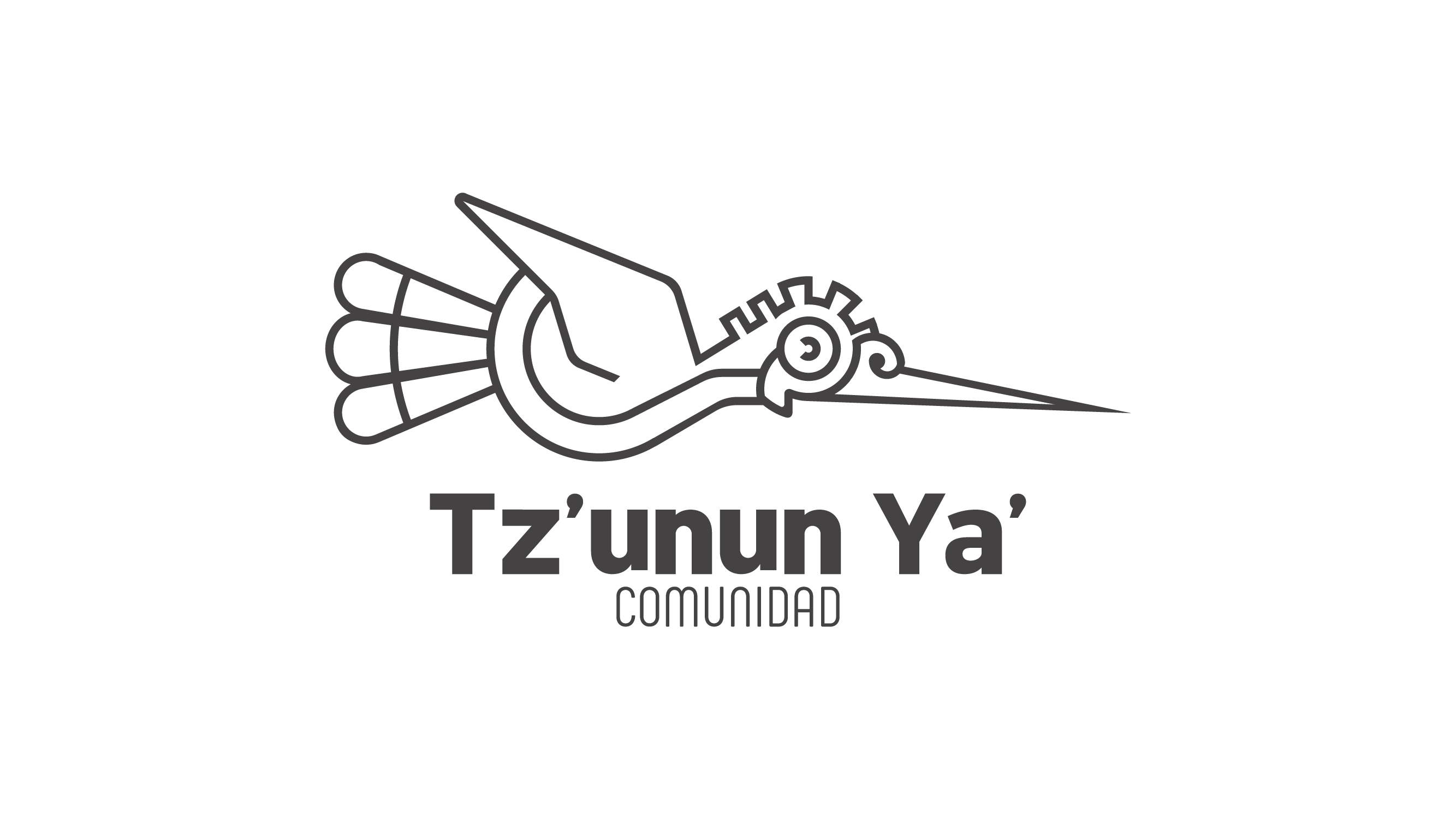 comunidad tzunun ya san pedro la laguna